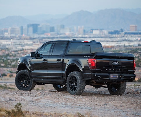 Shelby F-150