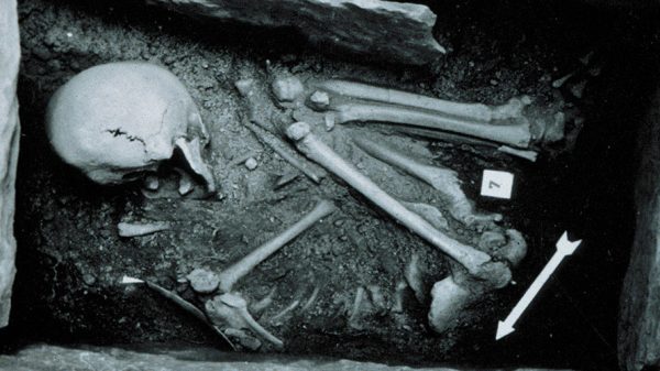 Barmaz Necropolis Reveals Egalitarian Diet and Burial Practices in Neolithic Switzerland