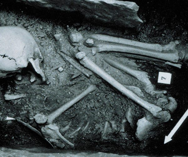 Barmaz Necropolis Reveals Egalitarian Diet and Burial Practices in Neolithic Switzerland