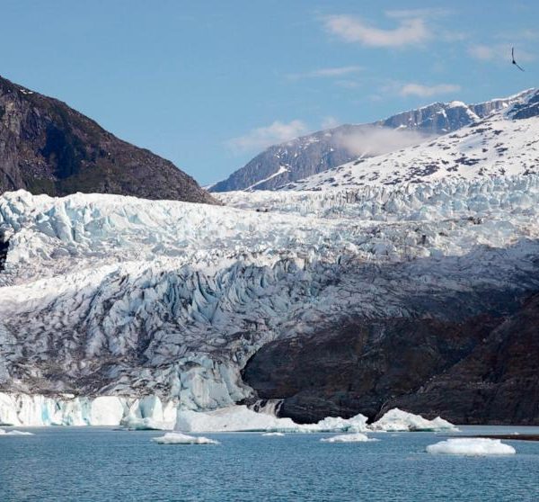 Juneau Icefield Faces Irreversible Melting Threat Amid Accelerated Glacier Loss and Climatic Feedback Mechanisms