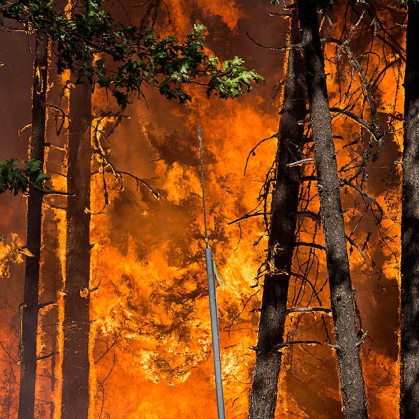 Recent Surge in Wildfire Frequency and Intensity Signals Growing Global Concern