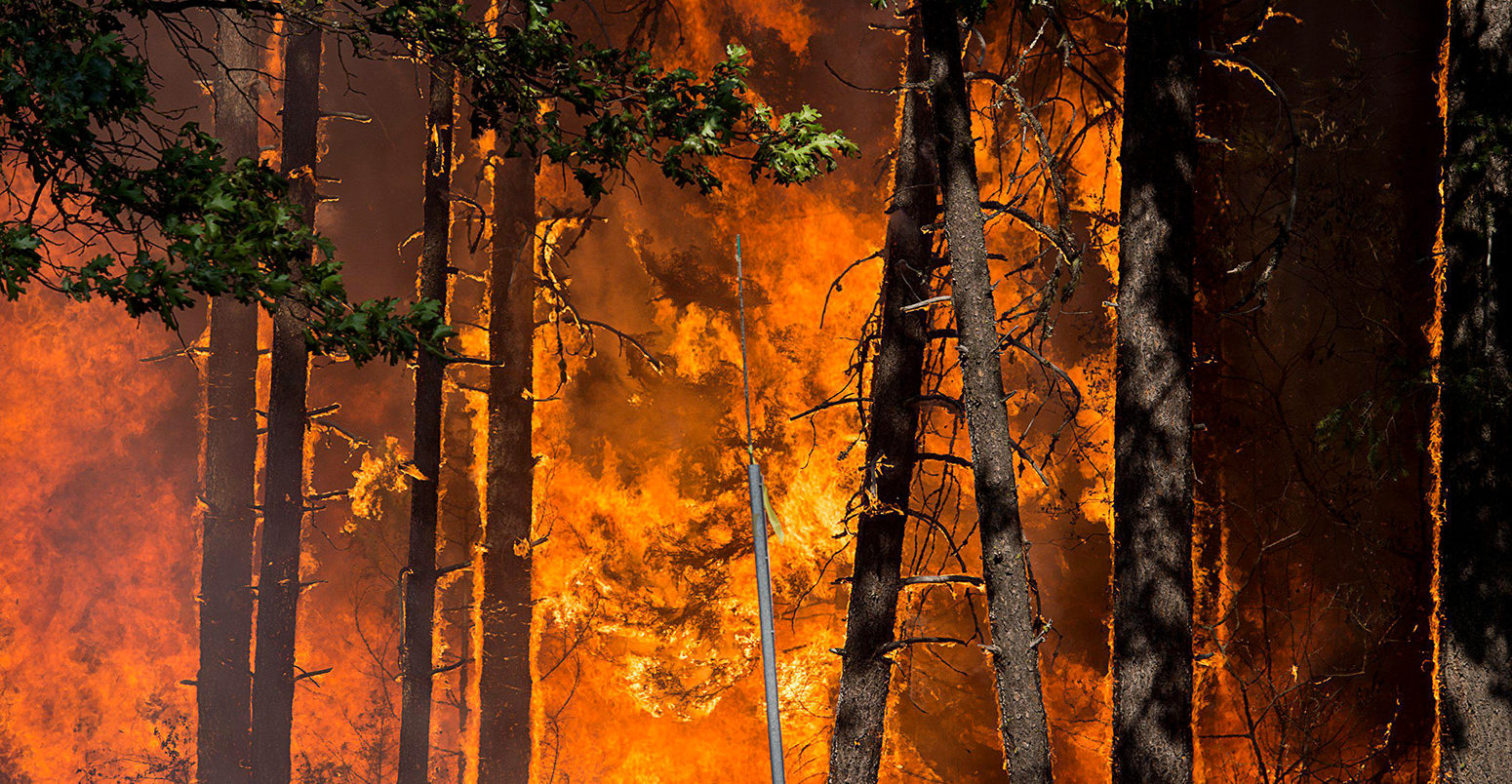 Recent Surge in Wildfire Frequency and Intensity Signals Growing Global Concern