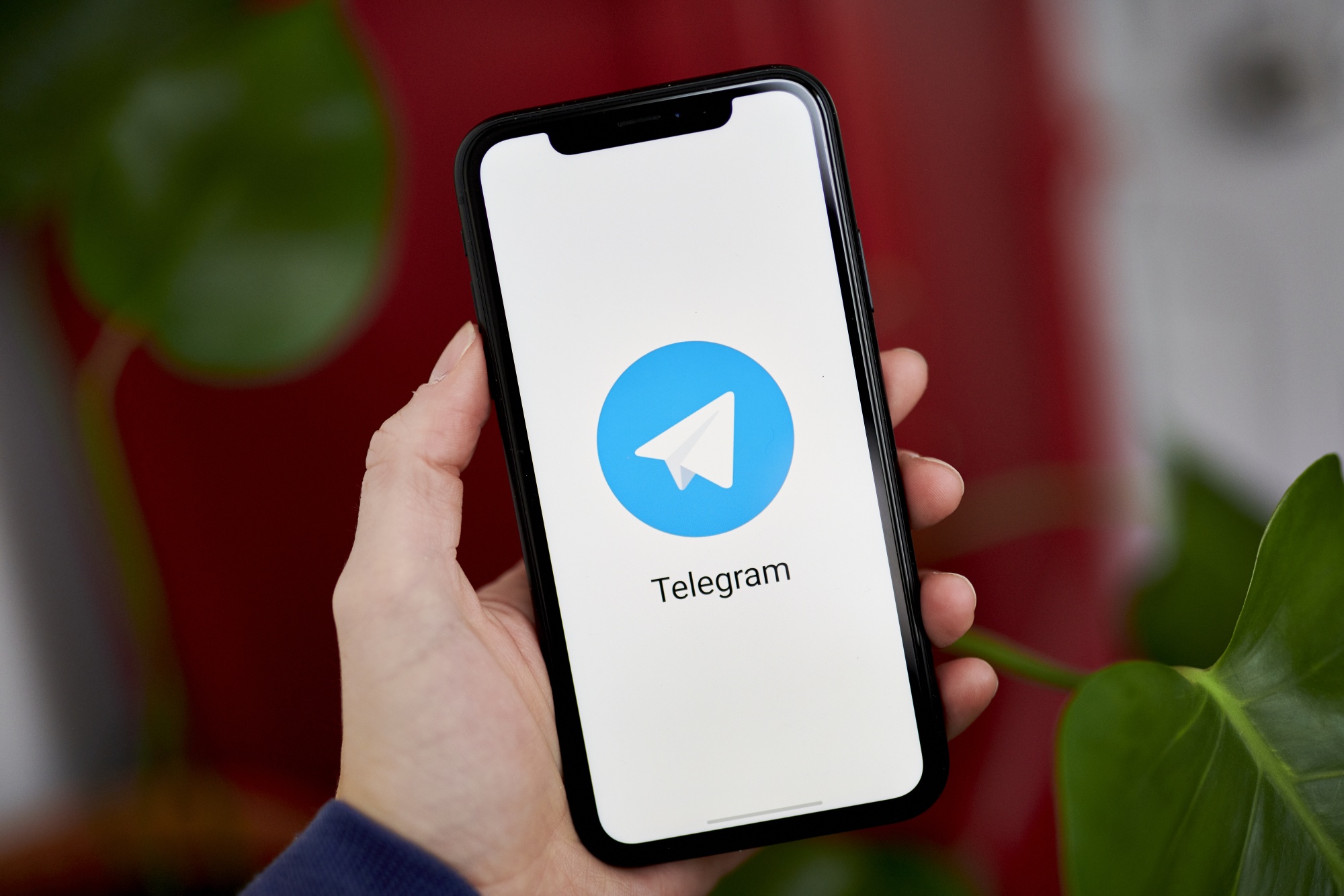 Brussels Investigates Telegram for Underreporting Users to Evade EU Digital Regulations