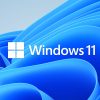 Windows 11 24H2 Update Causes Frustration with Broken Features and Clipboard History Bug