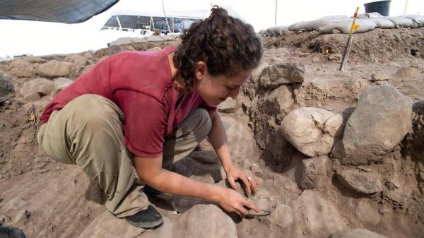 Ancient Drop Spindles at Nahal Ein-Gev: Pioneering Rotational Technology 12,000 Years Ago