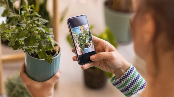 Plantum Offers Lifetime Plant Care Access for $14.97 on iOS with Expert Tips and Identification