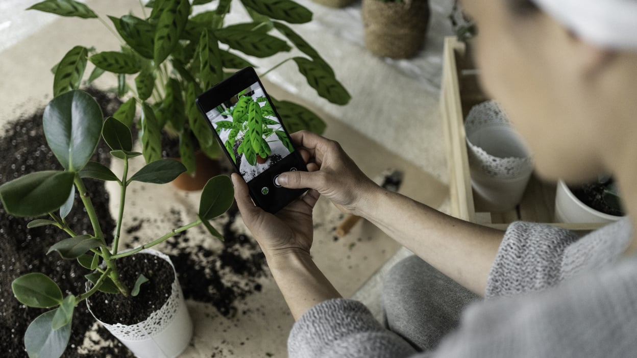 Plantum Offers Lifetime Plant Care Access for $14.97 on iOS with Expert Tips and Identification