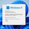 Windows 11 24H2 Update Faces Widespread Issues, Office App Crashes, and Antivirus Conflicts