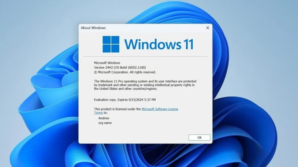 Windows 11 24H2 Update Faces Widespread Issues, Office App Crashes, and Antivirus Conflicts