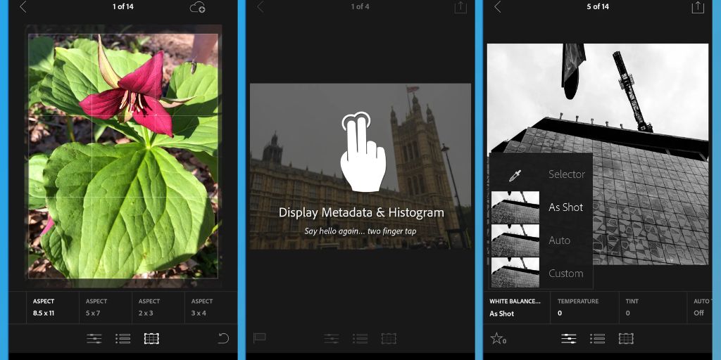 Adobe Lightroom Mobile – Best for Professional-Level Editing